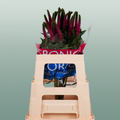 Veronica Smart Iselle (25 Stems)