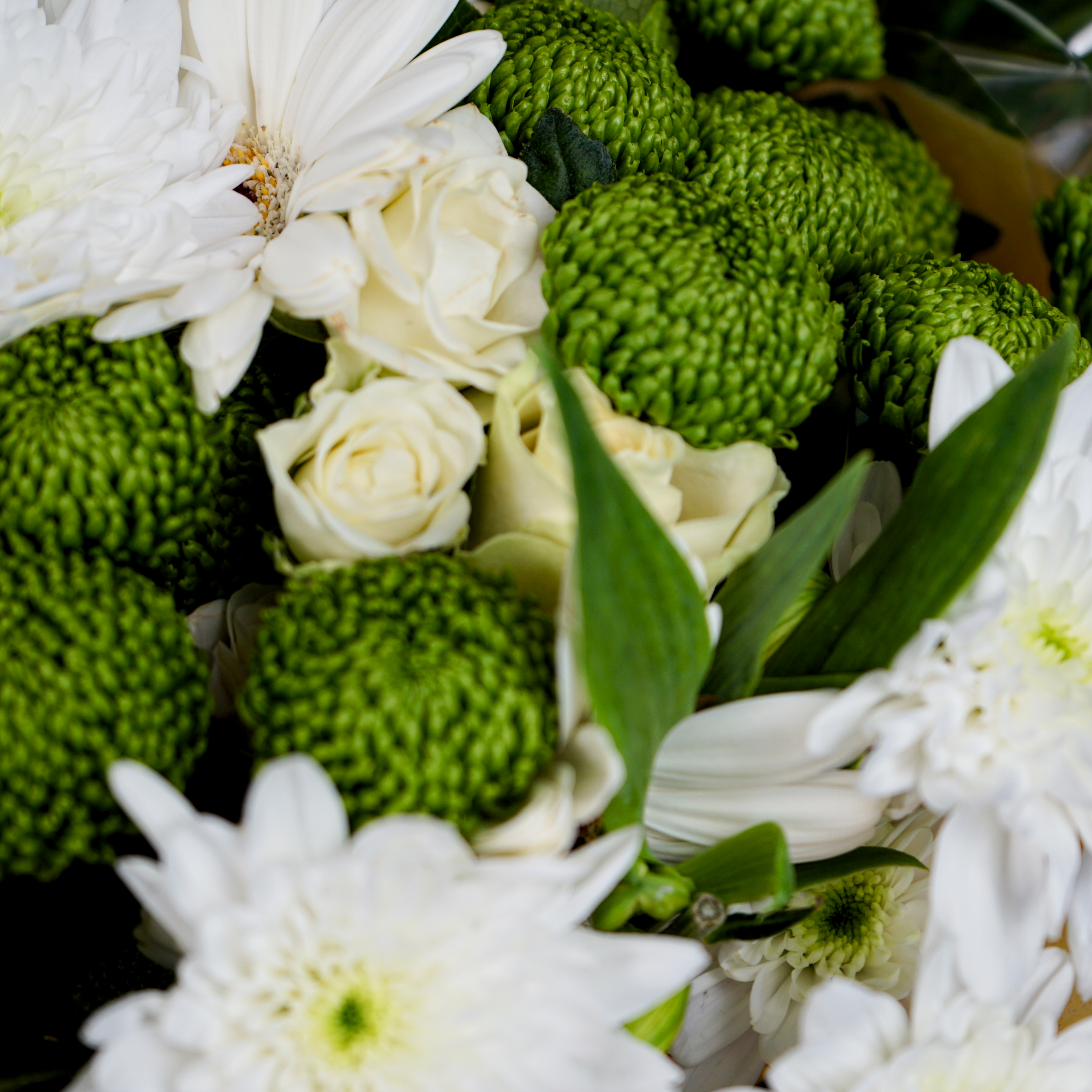 10 Stem White Bouquet (10 Bunches)