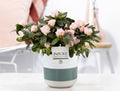 Rhodo Si Terra Nova Keramiek Lauren