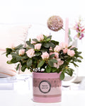 Rhodo Si Terra Nova Keramiek Special Pour Toi