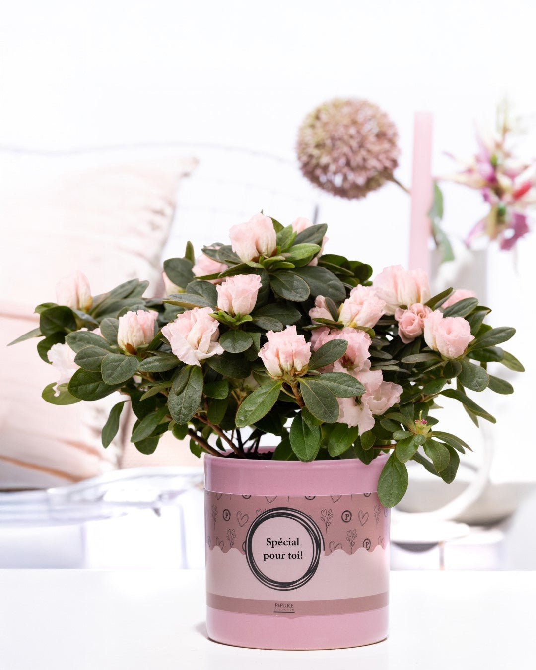 Rhodo Si Terra Nova Keramiek Special Pour Toi